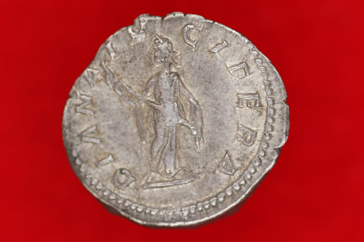 Julia Domna Denarius