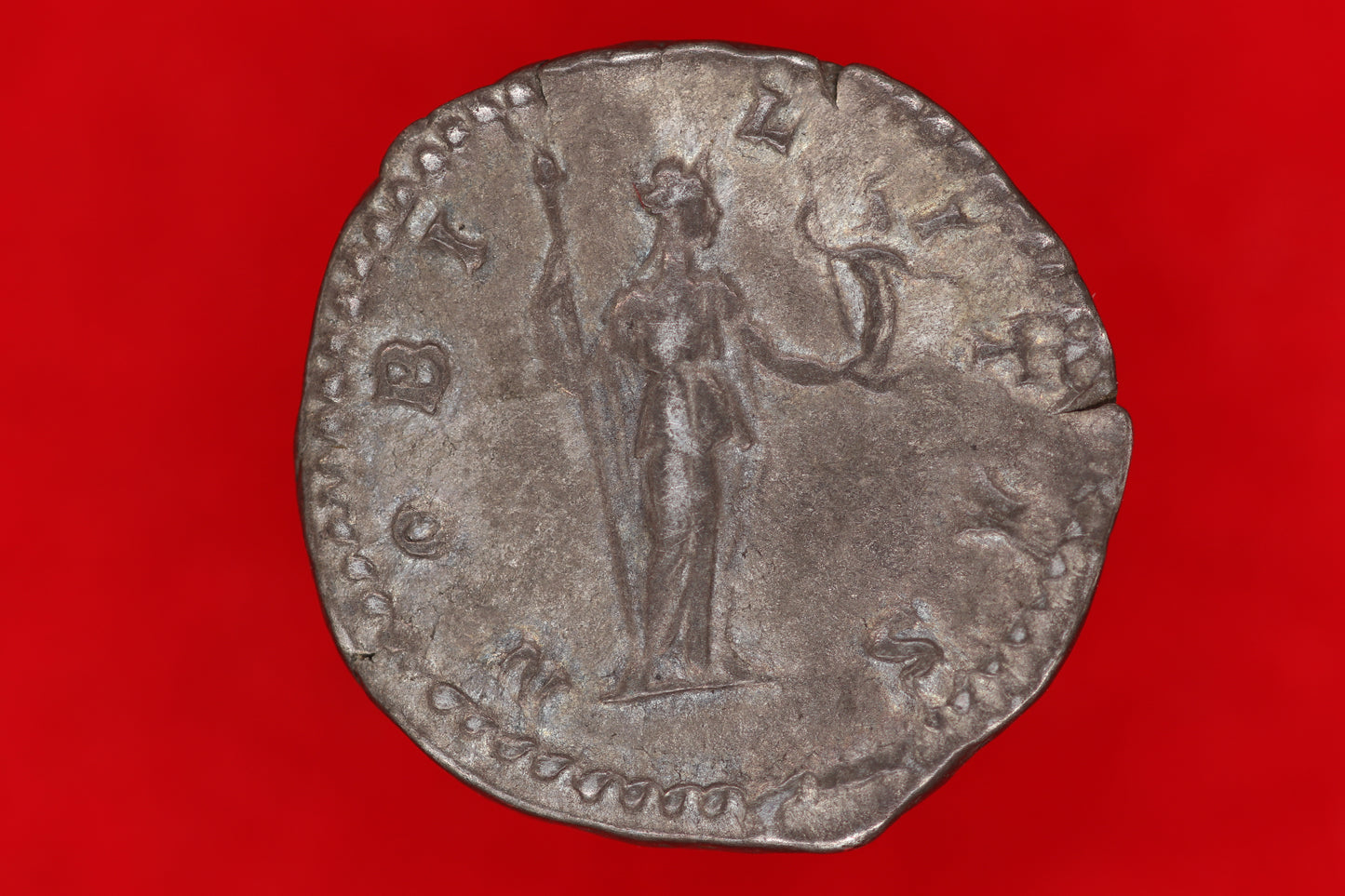 Geta Denarius