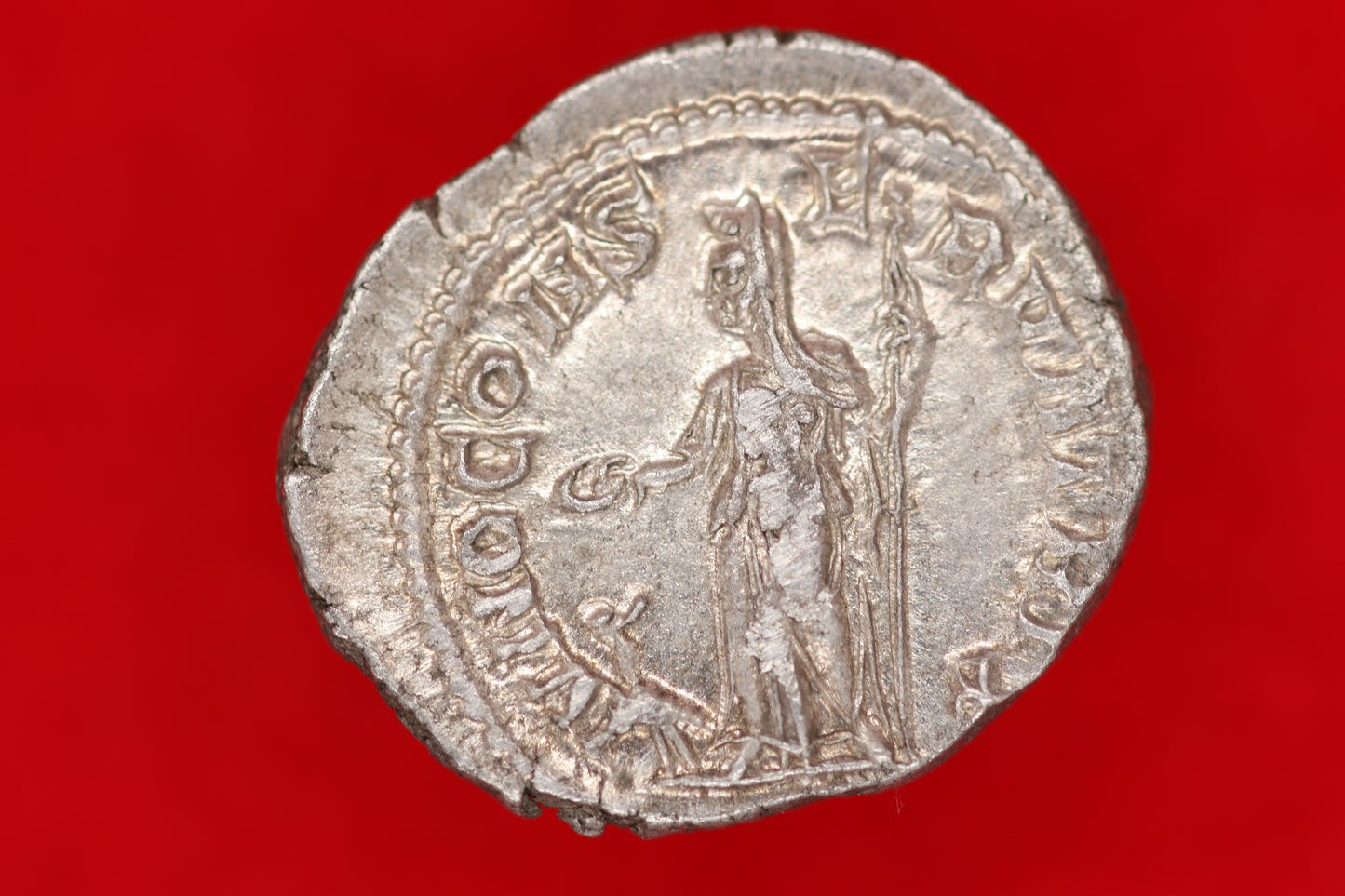 Julia Mamaea Denarius