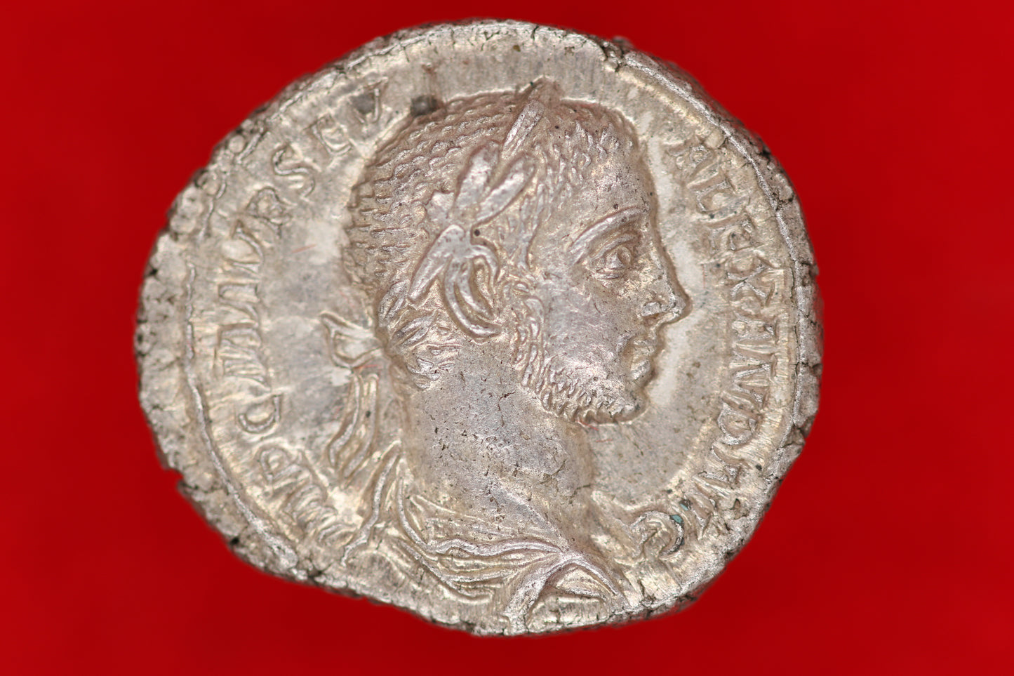 Severus Alexander Denarius