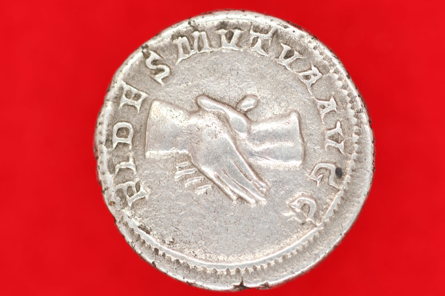Balbinus Antoninianus