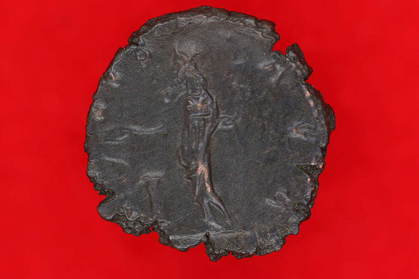 Ant of Victorinus
