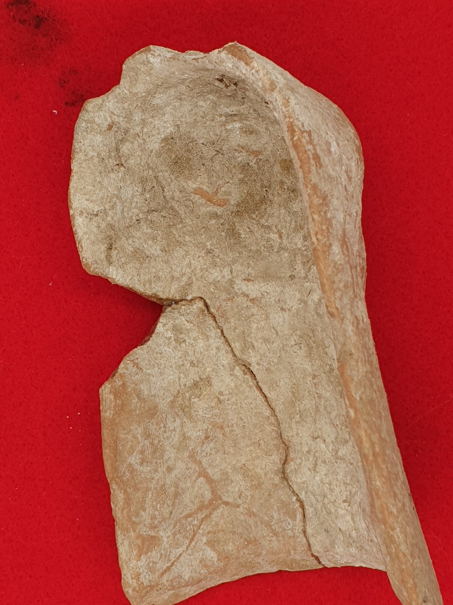 Greek 5th C B.C Terracotta Protome