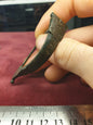 Roman 1st C A.D Wolfs Head Brooch