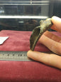 Medieval 13th-14th C A.D. Water Spout