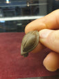 Celtic 1st C A.D. Bronze Volva Stud