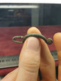 British Celtic 1st C A.D Animal Brooch