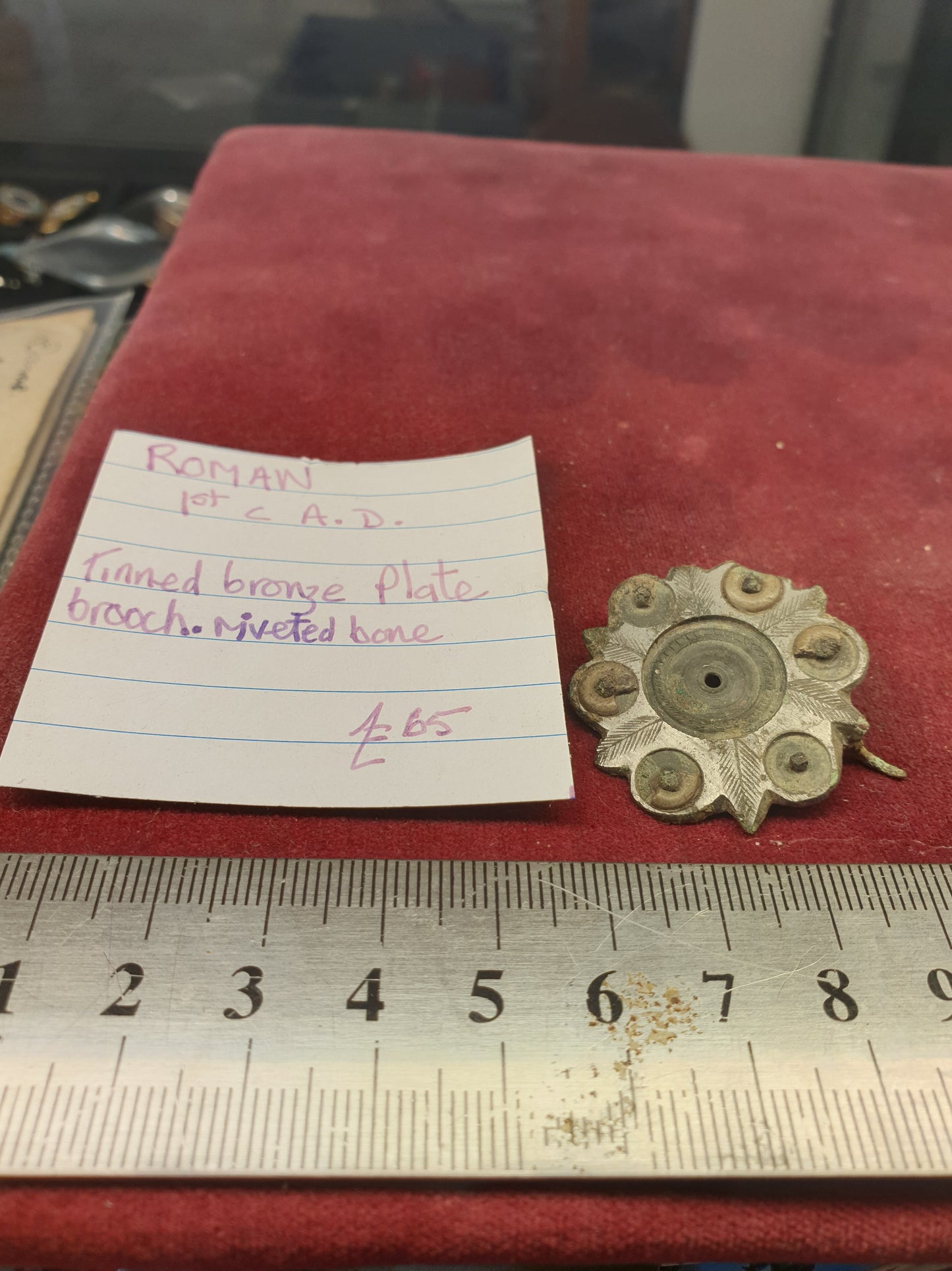 Roman 1st C A.D Tinned Bronze Plate Brooch riveted bone