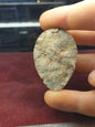 Decorated Pilgrim Badge 14th C Medieval in the shape of a Knights Shield