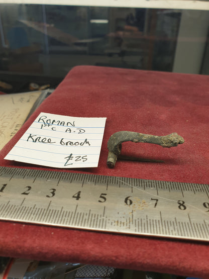 Roman 1st C A.D. Knee Brooch