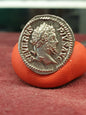 Septimus Severus Denarius