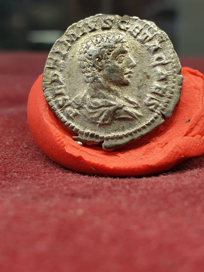 Geta Denarius