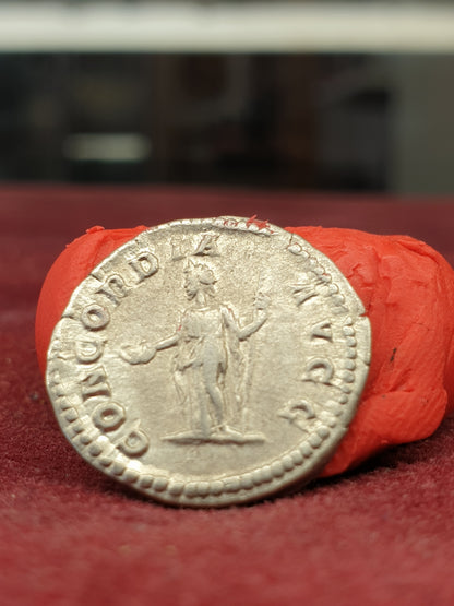 Plautilla Denarius