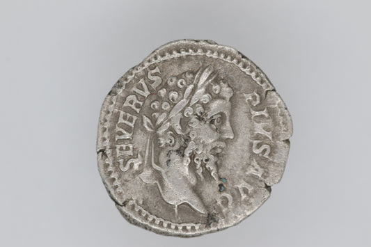 Septimus Severus Denarius