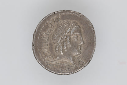 M Fonteius Denarius