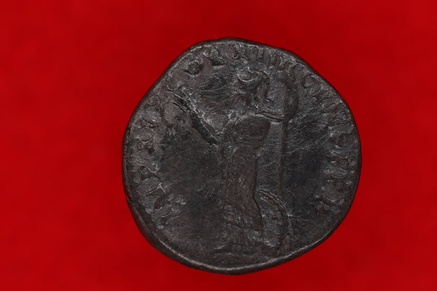 Domitian Denarius