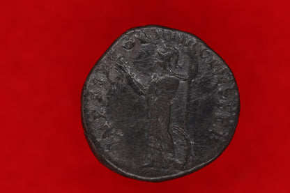 Domitian Denarius