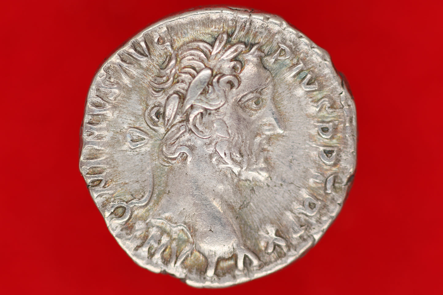 Antoninus Pius Denarius