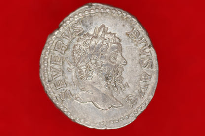 Septimus Severus Denarius