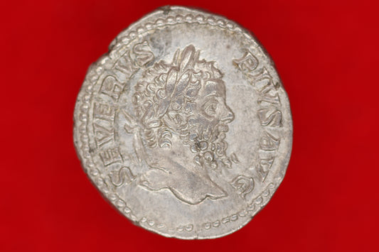 Septimus Severus Denarius