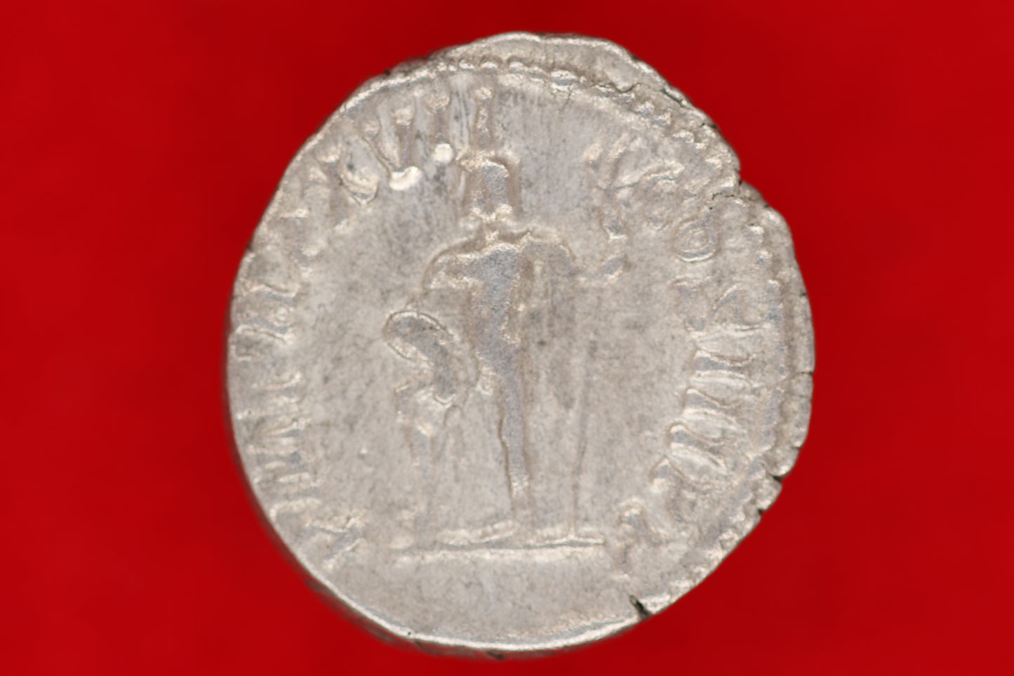 Septimus Severus Denarius
