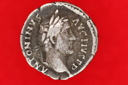 Antoninianus Pius Denarius