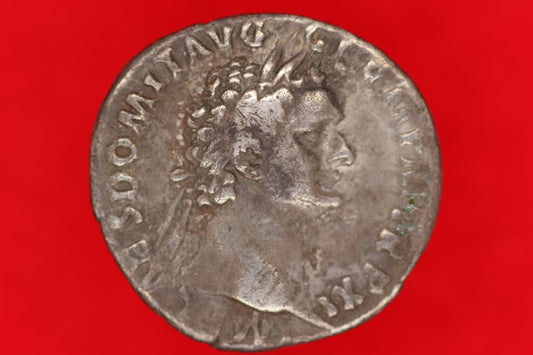 Domitian Denarius