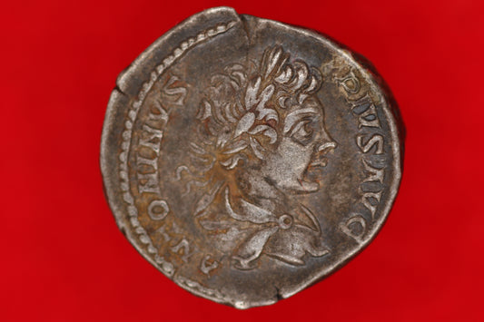 Caracalla Denarius
