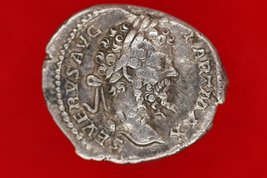 Septimus Severus Denarius