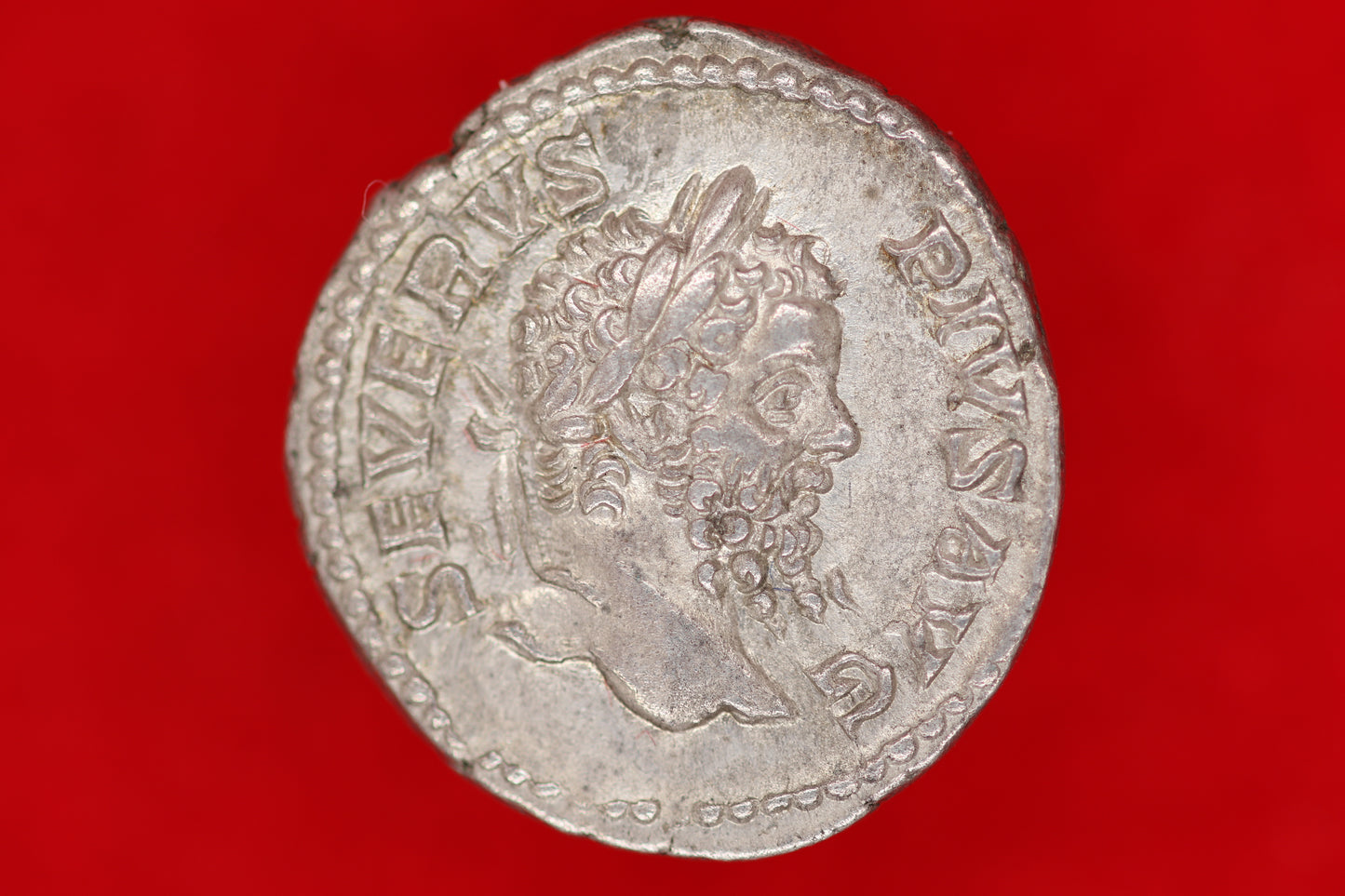 Septimus Severus Denarius