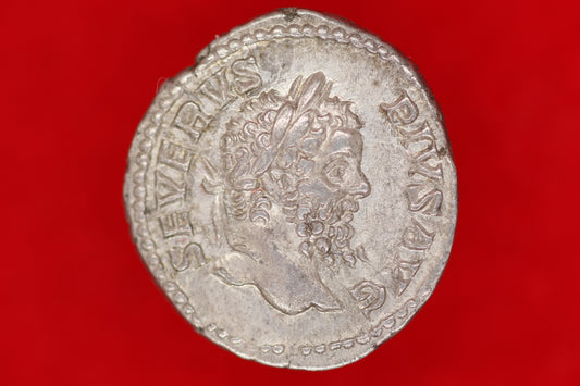 Septimus Severus Denarius