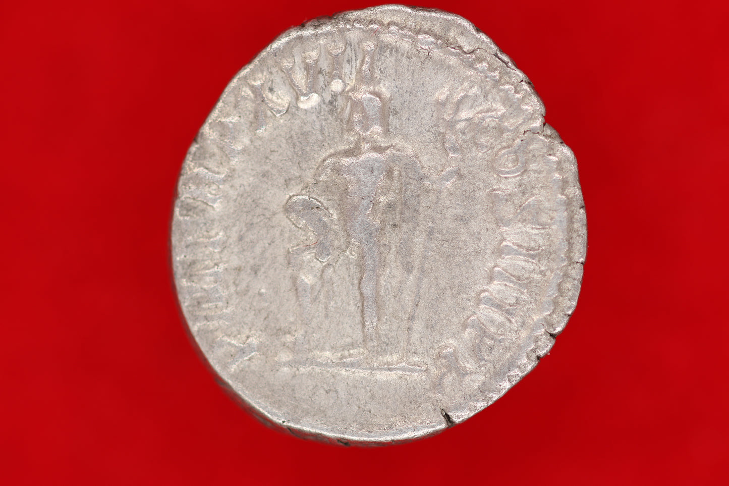 Septimus Severus Denarius