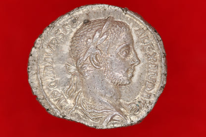 Severus Alexander Denarius