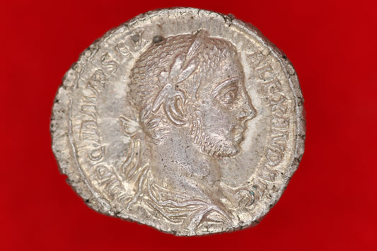 Severus Alexander Denarius