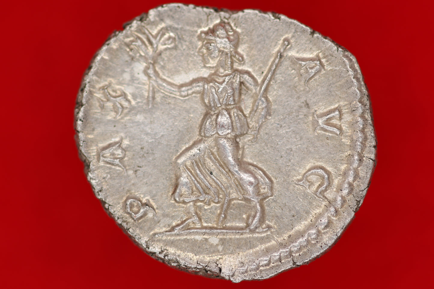 Severus Alexander Denarius