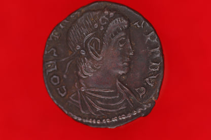 Constans Siliqua