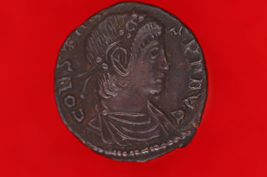 Constans Siliqua
