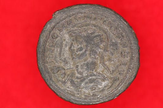 Probus Bi Antonianus