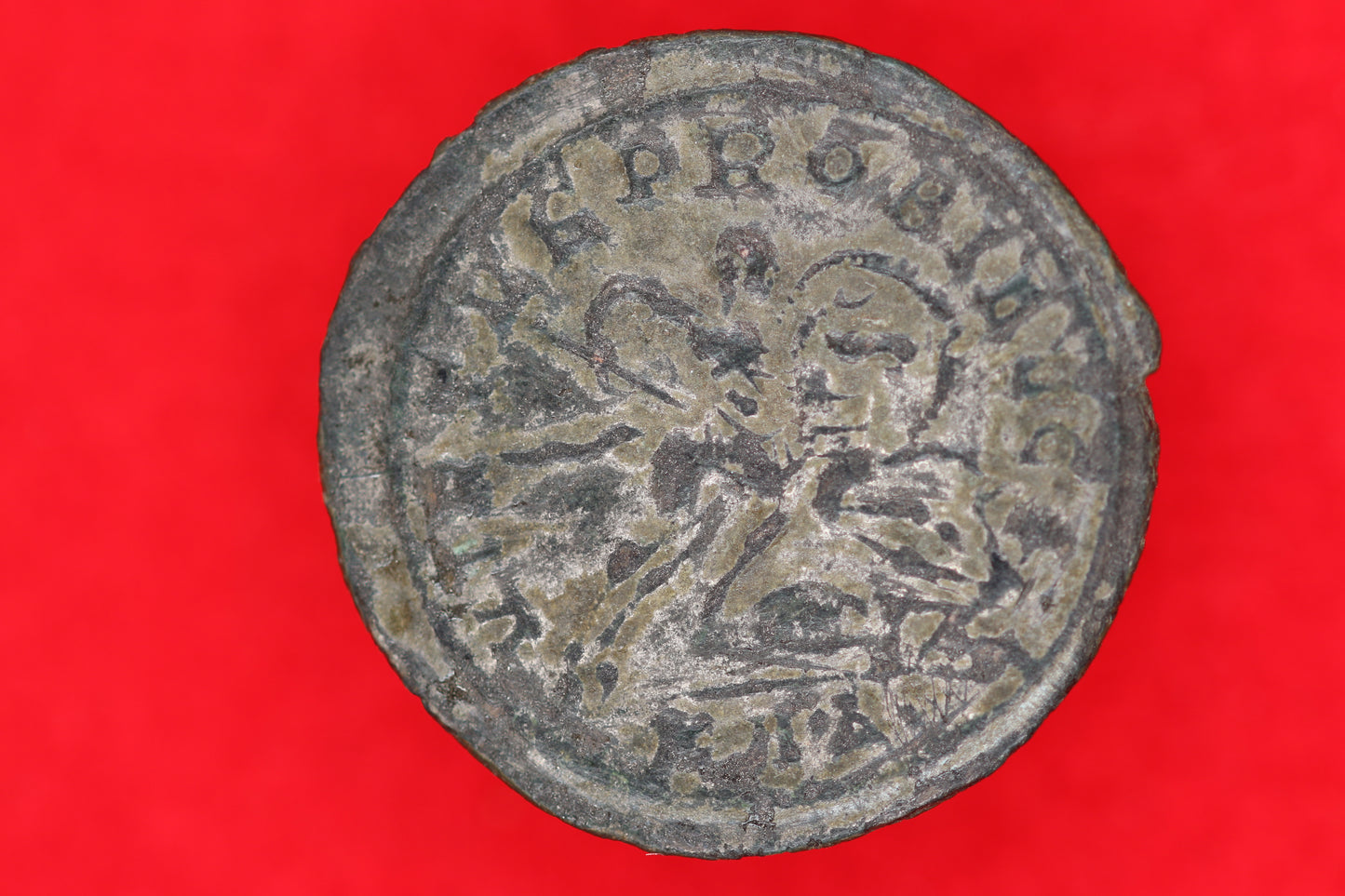 Probus Bi Antonianus