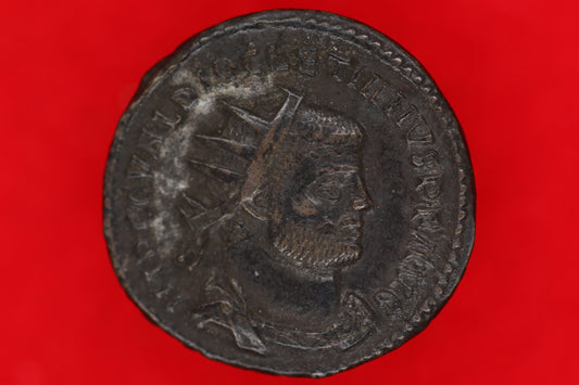 Diocletian Antoninianus