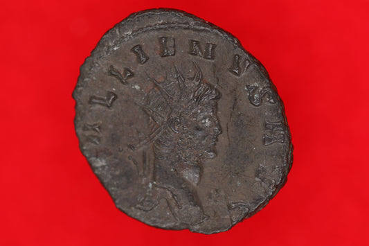 Gallienus Antoninianus Stag
