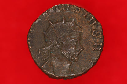 Claudius Gothicus Antoninianus