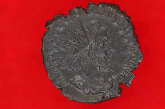 Ant of Victorinus