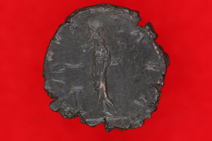 Ant of Victorinus