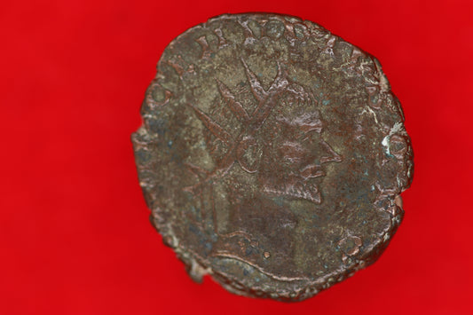Ant of Claudius Gothicus