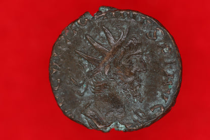 Ant of Victorinus
