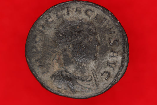 Tacitus Antoninianus