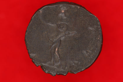 Ant of Tetricus