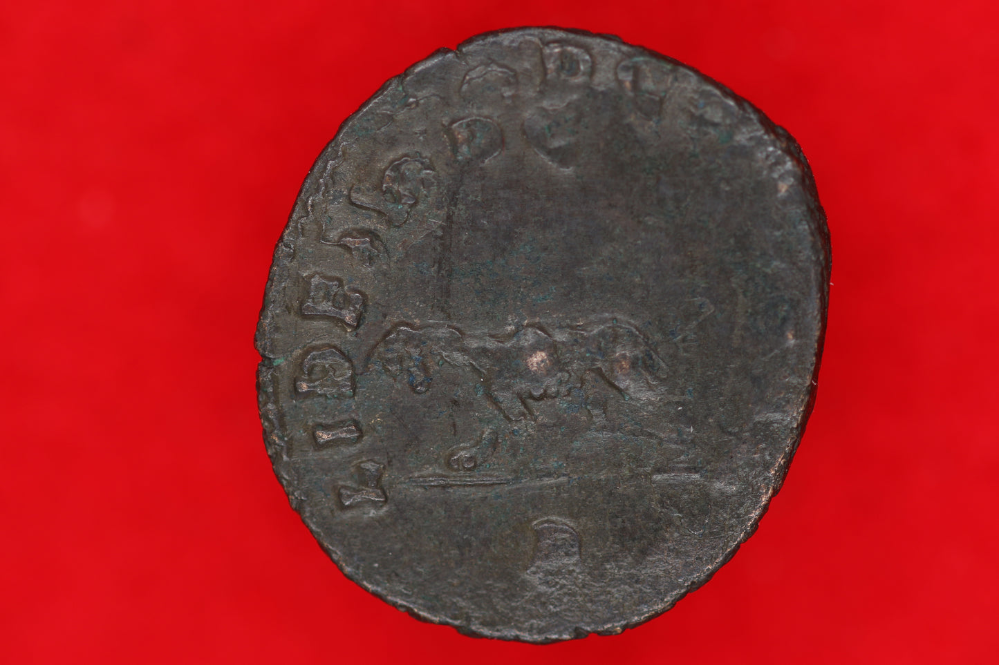 Gallienus Antoninianus