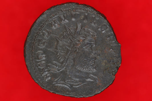 Claudius Gothicus Antoninianus
